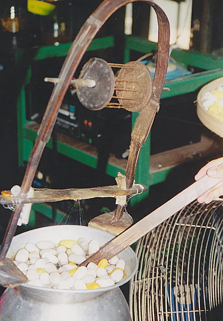 Homegrown Luxury: How American Silk Farmers Are Rewriting the Origin Story